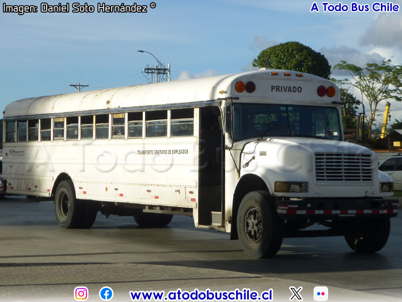 Blue Bird / International S-3800 / Transporte de Personal Empaques de Colón S.A. (Panamá)