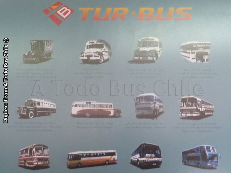 Afiche 55º Aniversario Tur Bus (1948-2003)