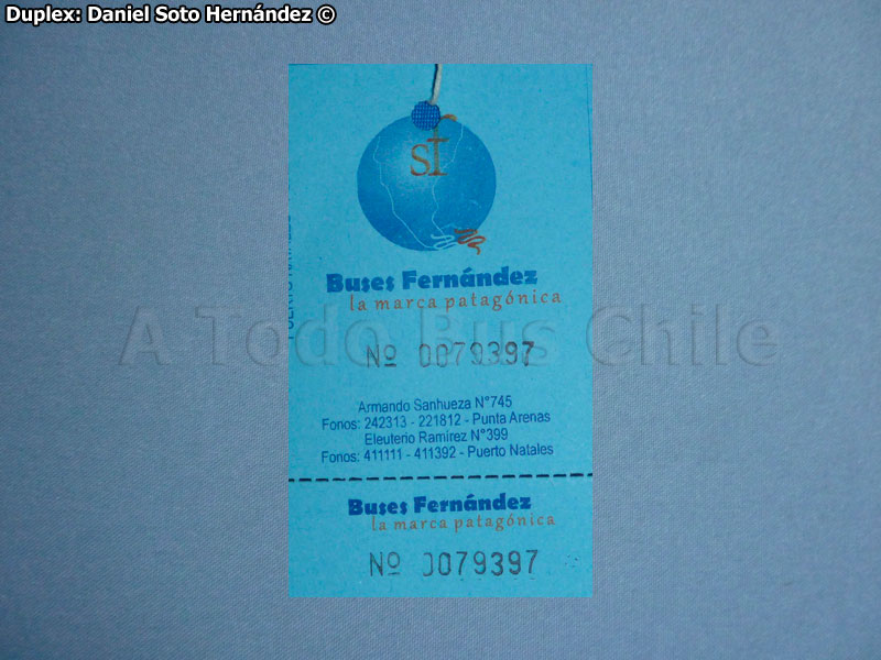 Ticket de Equipaje Buses Fernández