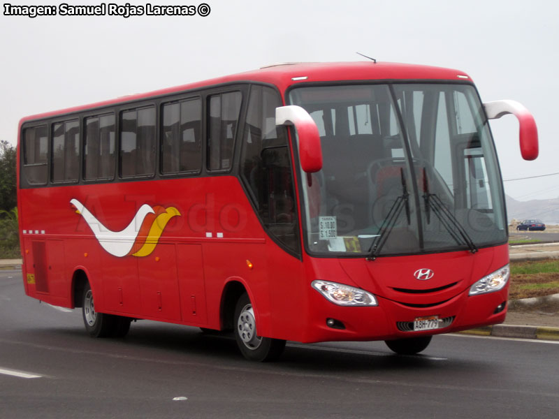 Drimbus / Hyundai / Servicio Internacional Arica - Tacna (Perú)