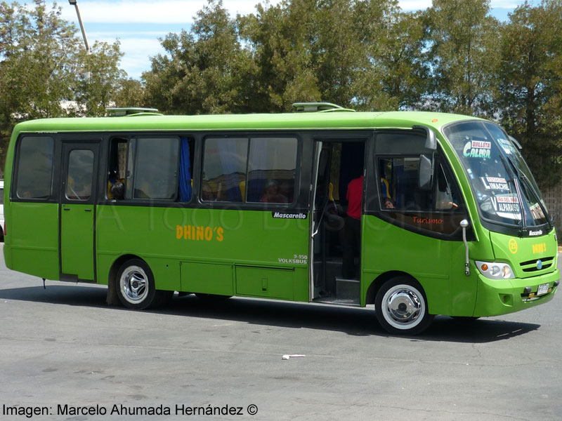 Mascarello Gran Micro / Volksbus 9-150EOD / Dhino's
