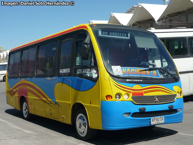 Marcopolo Senior G6 / Volksbus 9-150OD / Buses Vargas
