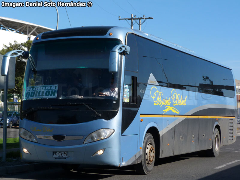 Daewoo Bus A-120 / Buses Delsal
