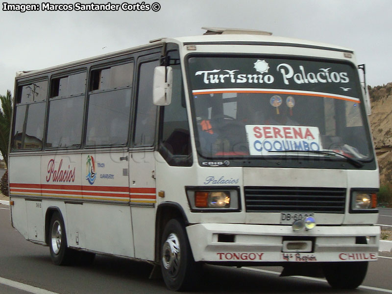 Caio Carolina IV / Mercedes Benz LO-812 / Buses Palacios
