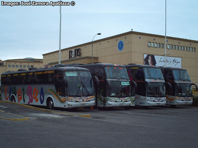 Flota Elqui Bus (El Caminante Ltda)