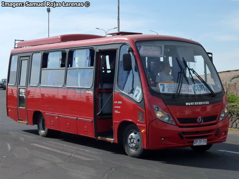 Neobus Thunder + / Mercedes Benz LO-915 / Taxibuses 7 y 8 (Recorrido N° 7) Arica