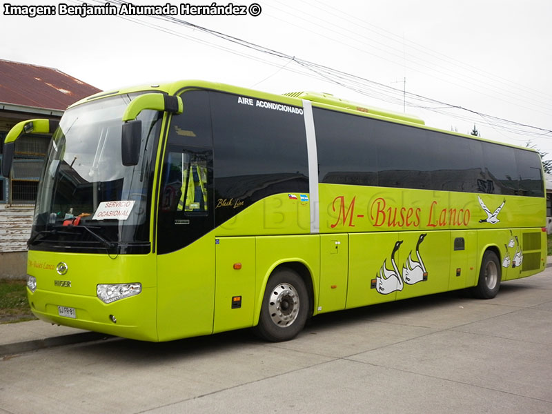 Higer Bus KLQ6129 (H120.44) / M-Buses Lanco