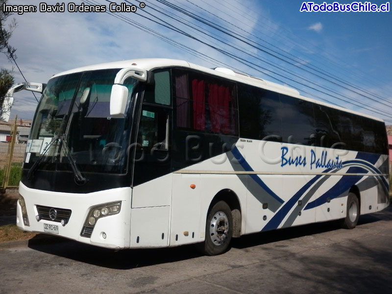 Golden Dragon Bus XML6137J131 Euro5 / Buses Pallauta