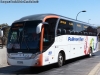 Neobus New Road N10 360 / Scania K-360B / Pullman Bus