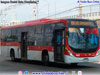 Marcopolo Torino Low Entry / Volvo B-8R-LE Euro6 / Servicio Alimentador B-35