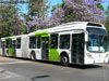 Marcopolo Gran Viale / Volvo B-9SALF / Servicio Troncal 427