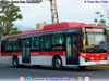 BYD Bus K-9FE / Servicio Troncal 546e