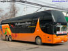 Young Man Skyliner JNP6137S / Pullman Bus Tacoha