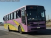 Busscar InterBuss / Mercedes Benz OF-1722 / Buses JNS Colina - Santiago