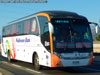 Neobus New Road N10 360 / Scania K-360B eev5 / Pullman Bus