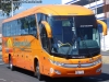 Marcopolo Paradiso G7 1200 / Scania K-380B / Trans Esmeraldas Internacional (Ecuador)
