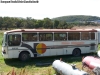 Marcopolo Viaggio GIV 800 / Mercedes Benz OH-1316 / Buses Patagonia