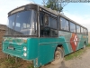Nielson Diplomata Serie 200 / Scania BR-116 / Tur Bus