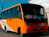 Neobus Thunder + / Mercedes Benz LO-916 BlueTec5 / Full Bus