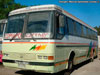 Mercedes Benz O-371R / Buses Casther