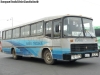 Nielson Diplomata 310 / Mercedes Benz OF-1115 / Buses Tricahue
