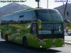 Zhong Tong Navigator LCK6129H / Buses Casther