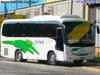 Higer Bus KLQ6856 (H85.33) / Buses Buin -  Maipo