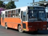 Caio Vitória / Mercedes Benz OF-1318 / Buses HT
