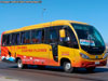 Mascarello Gran Micro / Mercedes Benz LO-916 BlueTec5 / Buses Cortés Flores