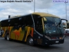 Neobus New Road N10 340 / Mercedes Benz OF-1724 BlueTec5 / Buses Delsal