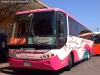 Busscar El Buss 340 / Scania K-124IB / Pullman Bus - Los Corsarios