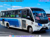 Marcopolo Senior / Mercedes Benz LO-915 / Línea N° 2 Temuco