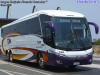 Marcopolo Paradiso New G7 1200 / Mercedes Benz O-500RSD-2441 BlueTec5 / Buses TJM