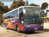 Busscar Vissta Buss LO / Scania K-340 / Flota Barrios (Al servicio de Everton S.A.D.P.)