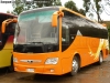 Daewoo Bus A-100 / Andrés Tour