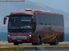 Zhong Tong Creator LCK6107H / Buses Thiele