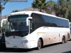 Bonluck JXK6128 / Buses Zuleta