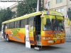 CASA Bus / DIMEX 654-250 / Servicio de Registro Civil e Identificación