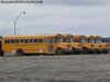 Flota Transporte Escolar I. M. de Puerto Montt | Thomas / International | Blue Bird / International