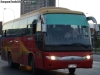 Zhong Tong Catch LCK6880T / Buses TEC