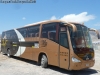 Irizar Century III 3.70 / Scania K-340B / Buses Pacheco (Al servicio de TranSantin)