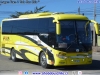 Zhong Tong Elegance LCK6117H / Transportes Font