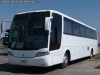 Busscar Vissta Buss LO / Scania K-340 / Klaus Transportes