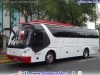 Young Man Starliner JNP6100M / TD Bus