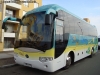 Bonluck JXK6960 / Bus Service